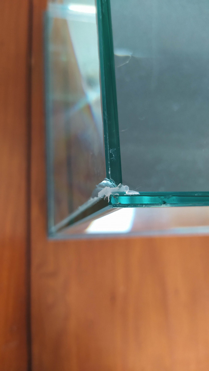 Photographie du post de AwesomeSince82 