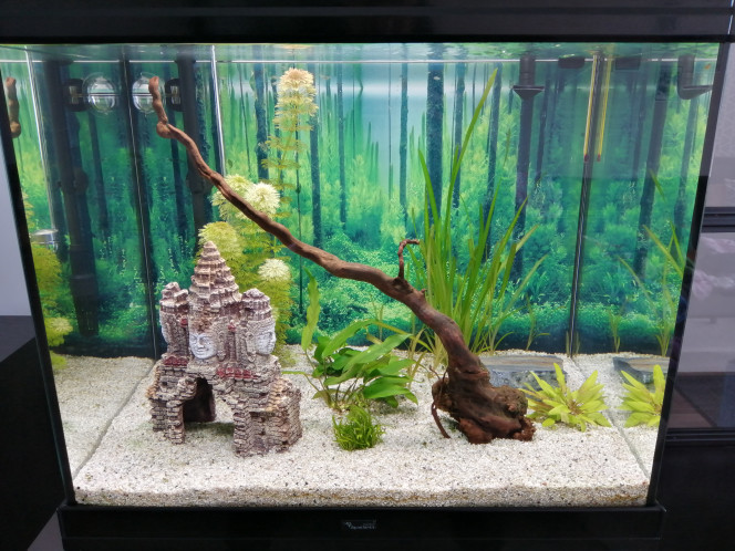 Photographie du post de Fish59 