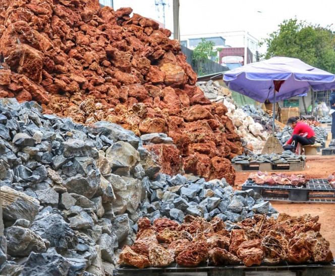 Photographie du post de NakMuay 