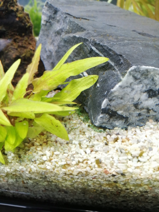 Photographie du post de Fish59 