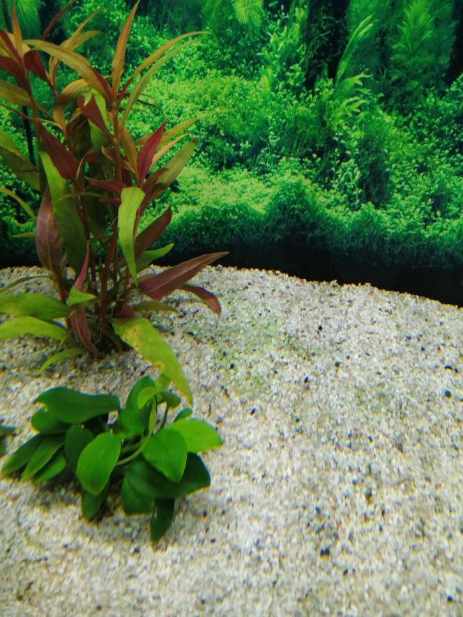 Photographie du post de Fish59 