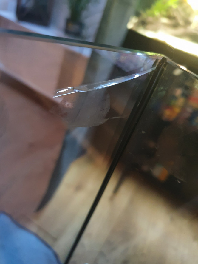 Photographie du post de Liiliiy 