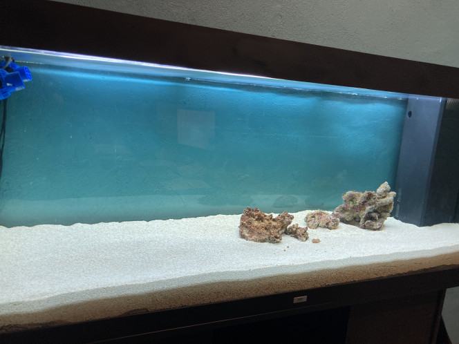 28 jours L'aquarium tourne depuis presque un mois, toujours pas de changement, c'est niquel, il est pret pour la suite.