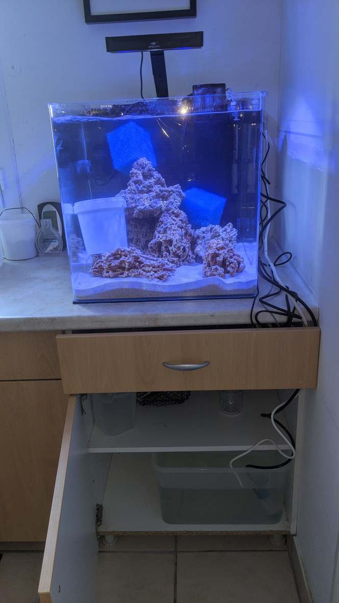 Mise en place osmolateur Tunze avec Cuve sous Aquarium 