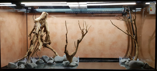 Réflexion sur le hardscape en cours Après un test d'étanchéïté OK, voici maintenant les premières réflexions sur le hardscape.

La partie se situant devant le mur de galets sera rempli de sable (JBL Sansibar orange) et la partie arrière sera plantée. Avec 1W pour 3.7L et 70cm de hauteur de bac, ça va être un challenge de trouver des plantes à la fois originales et peu exigeantes en lumière. La partie droite sera, sauf echec, composée d'un tapis gazonnant type iwagumi. Là aussi, la faiblesse de mon éclairage me fait avoir quelques doutes...

Avis bienvenus sur la composition du hardscape!