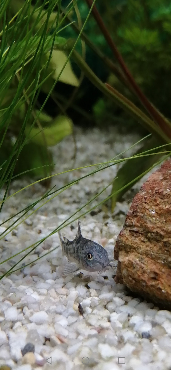 Photographie du post de Fish59 