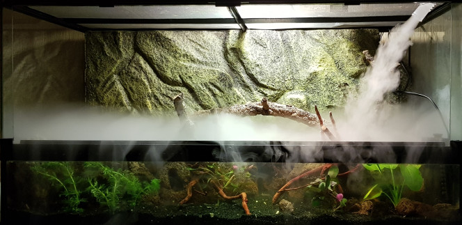 Cyclage en cours Cyclage en cours sur le terrarium. Quelques plantes du futur 500L sont mises ici en attendant sa mise en eau. Ainsi, elles auront pu bénéficier d'un traitement anti-escargots avant d'aller dans le grand bac.