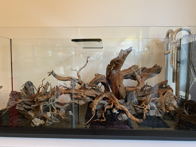 Hardscape finalisé Après une semaine d’essais multiples, de tentatives , de rétro pédalages... de posts, de commentaires...voilà le hardscape posé.

Maintenant, je travaille mes plantes!