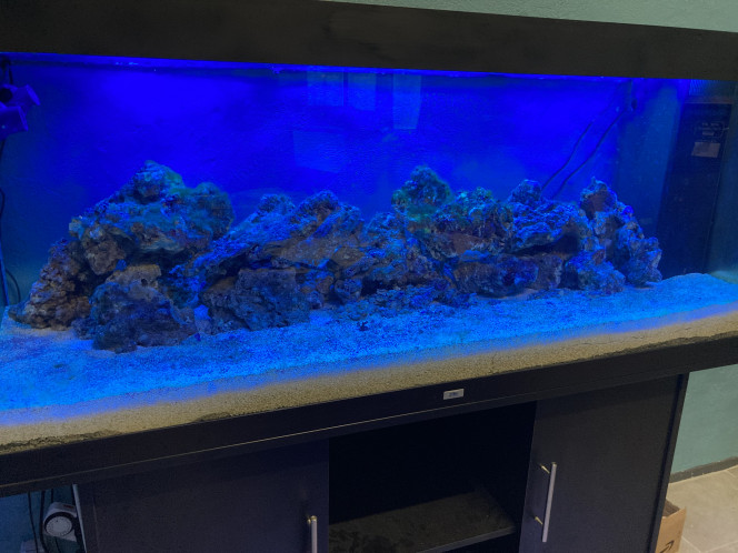 installation des tubes bleus 