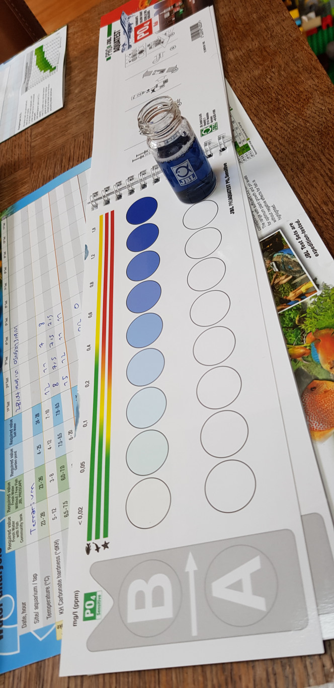 Je rêeeevaaaais.... D'un auuuuutreeeuh moooonde! Où le test de phosphaaaaates serait booooooon!

Bref, conseil aux débutants en terrariophilie comme moi : étanchéifiez à fond la caisse votre partie aquatique ou alors n'utilisez surtout pas de terreau pour plantes d'intérieur.

Chez-moi ce n'est qu'un fond de terreau que j'avais eu la flemme de nettoyer et que j'ai mélangé avec la tourbe et la sphaigne. Résultat des courses, ça fait bientôt 1 mois que mon taux de phosphates crève le plafond... Quel imbécile, mais quel imbécile!

Pas grave, soyons patients, ça va bien finir par baisser. Mais c'est dommage car le pic de nitrites est déjà passé. J'aurais pu démarrer l'accueil d'animaux si je n'avais pas fait cette boulette.

Là, je ne préfère pas. Car au moindre apport de déchets azotés, je risque une explosion d'algues...