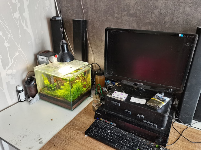 Photographie du post de Kaeris 
