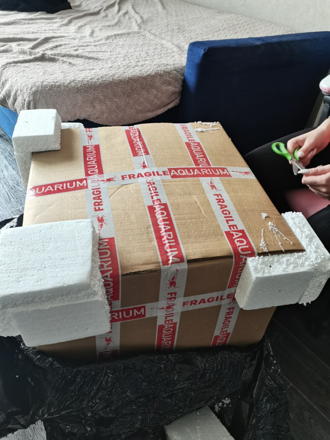 Photographie du post de Kaeris 