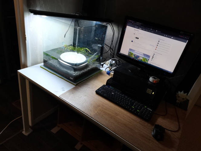 Photographie du post de Kaeris 