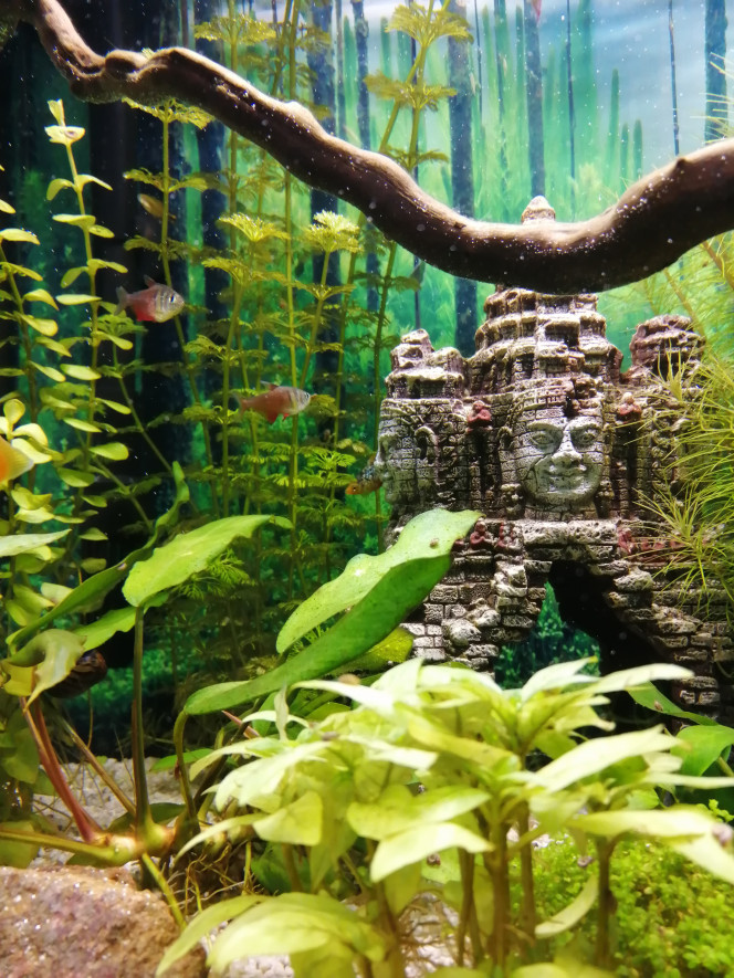 Photographie du post de Fish59 