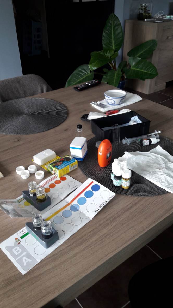 Tests avant départ en vacances 