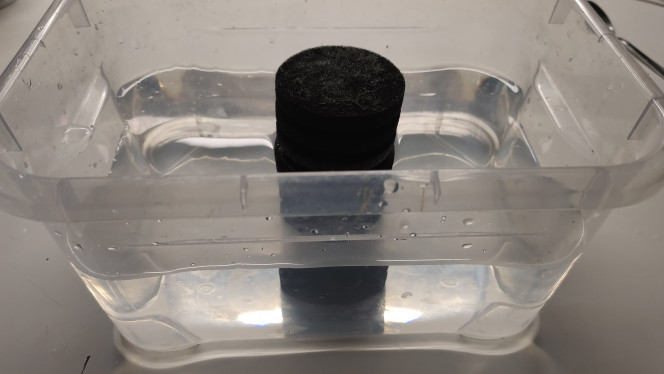 Photographie du post de TortueGeniale91 