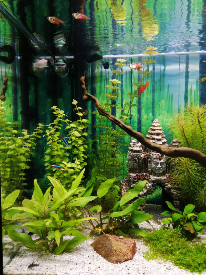 Photographie du post de Fish59 
