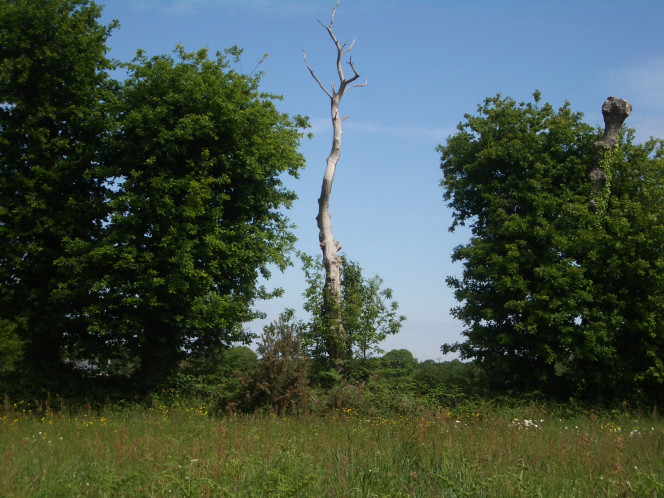 Photographie du post de Czhug 