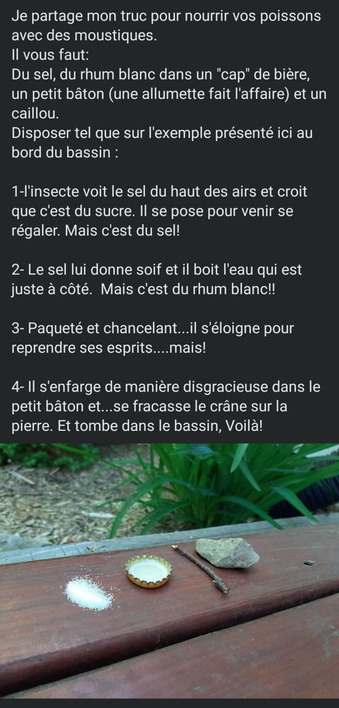 Photographie du post de Kaeris 
