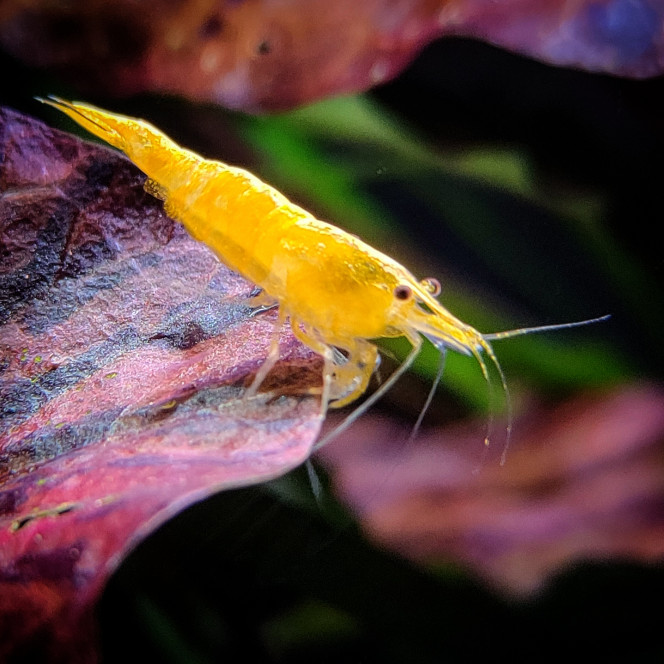 Photographie du post de MarleneMLX 