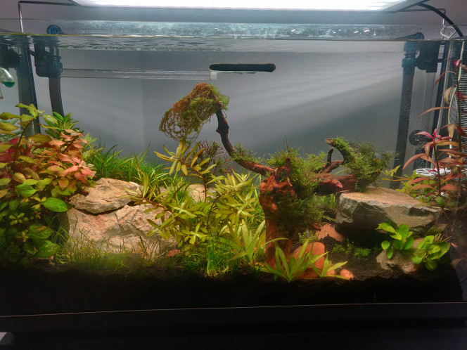 Aqua100L 