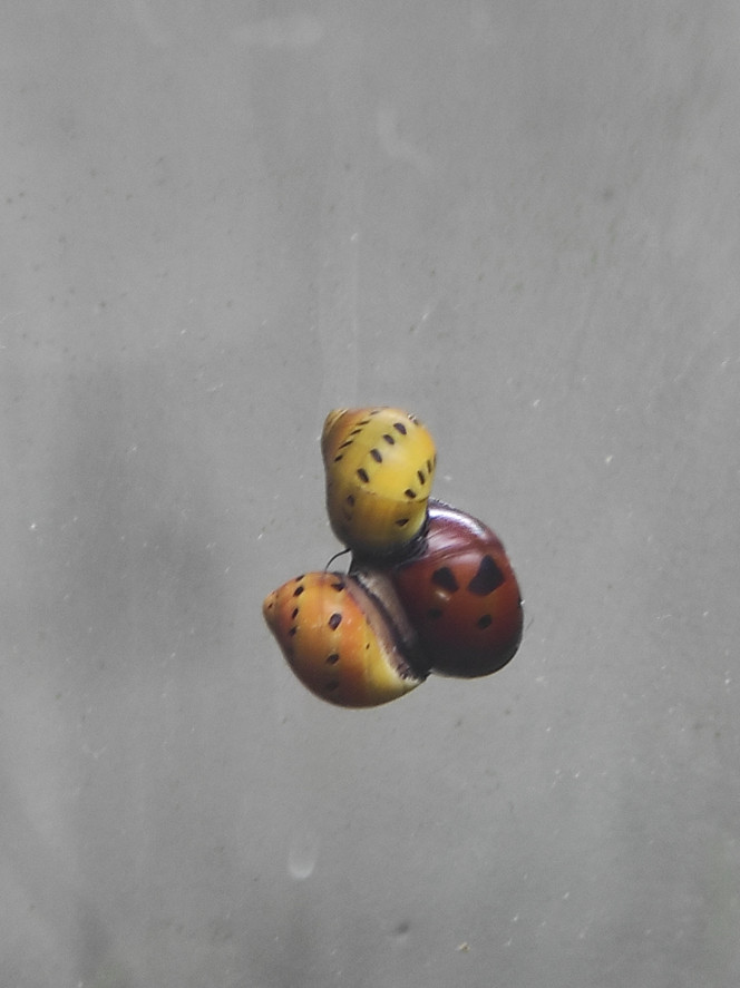 Photographie du post de Letty11590 