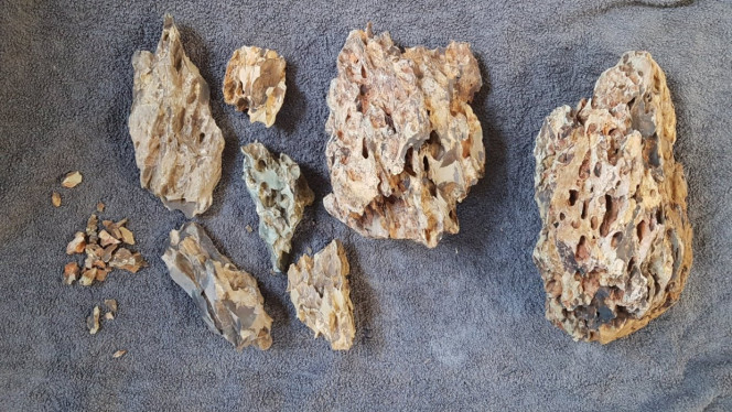 Ohko stones Hello à tous ! Ça fait longtemps que je n'étais pas passé par là ! J'espère que tout le monde va bien ! Je profite d'un nouveau projet mis en eau il y a deux semaines pour refaire surface et vous partager mon expérience. L'objectif est de créer une jungle. Pour cela, je suis parti sur des Ohko stones.