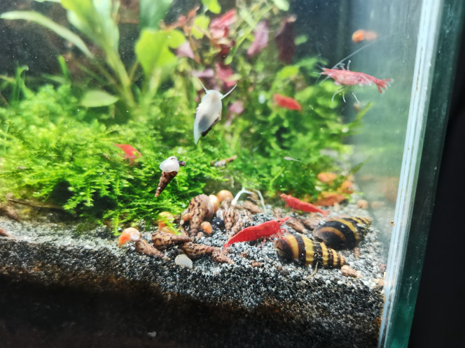 Photographie du post de Kaeris 