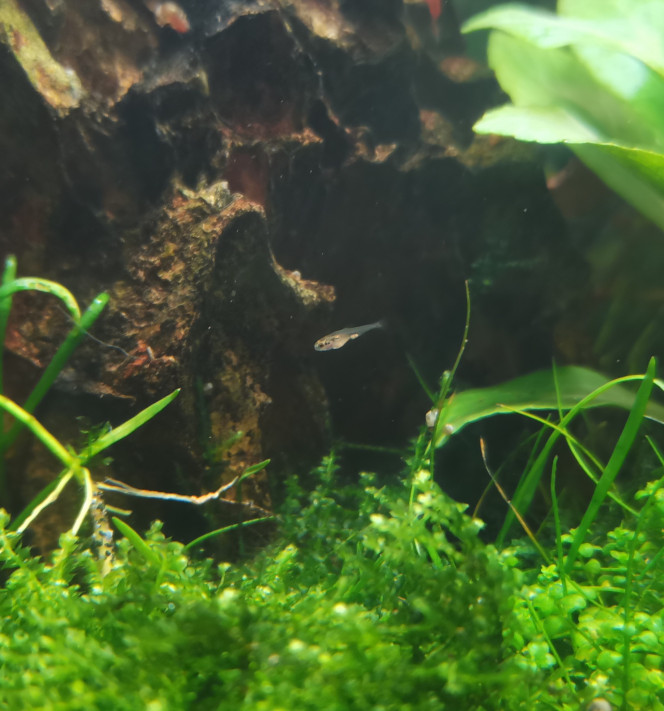 Photographie du post de Kaeris 