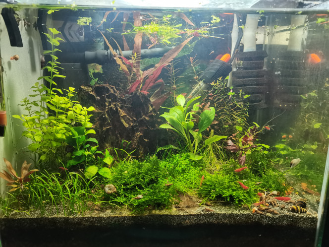 Photographie du post de Kaeris 