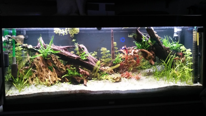 petite retouche du decor 