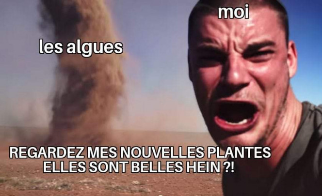 Photographie du post de Kaeris 
