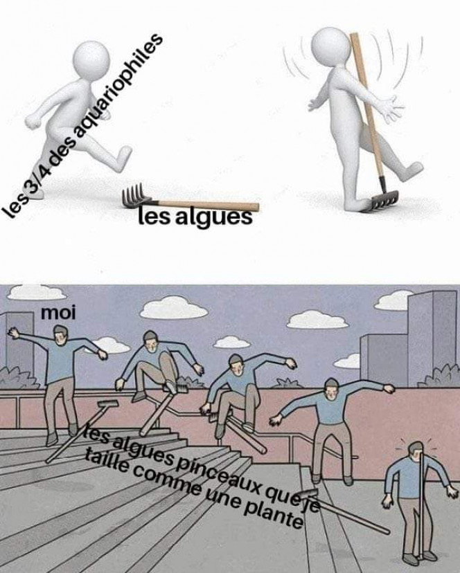 Photographie du post de Kaeris 