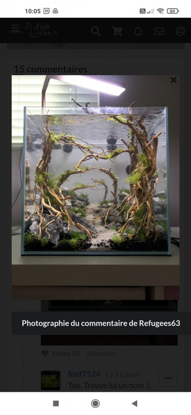 Concours scape La Boiserie, by Refugee