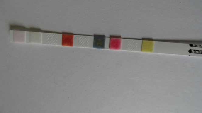 Photographie du post de Lededel56 