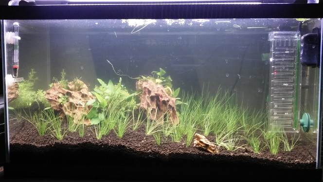 1er mise en eau avant changement de sol 28 avril 2021 