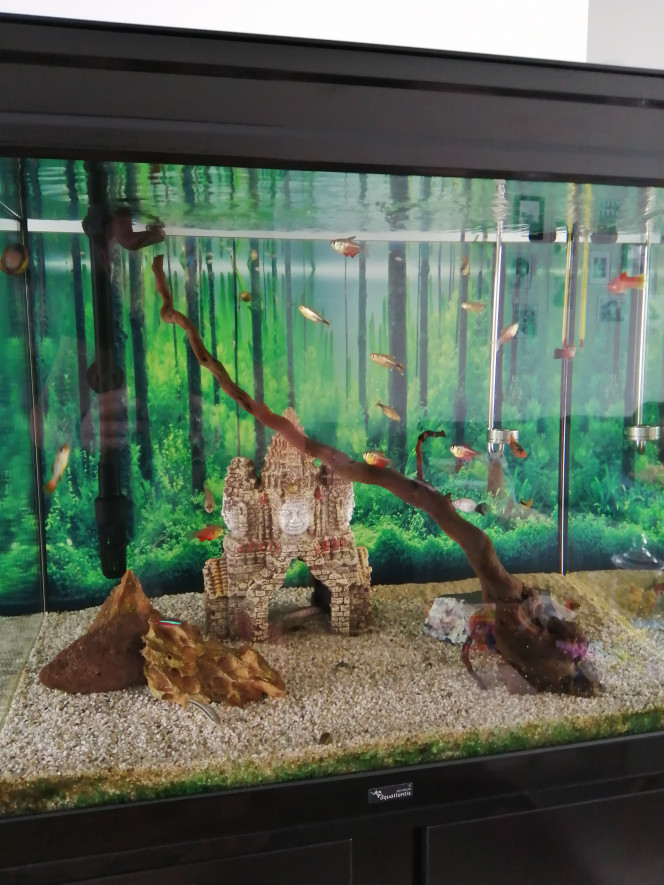 Photographie du post de Fish59 