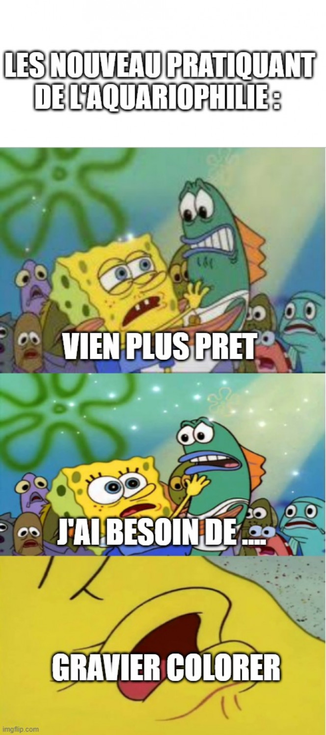 Photographie du post de Kaeris 