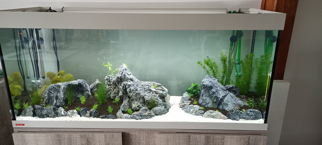 Aqua J 1 aquarium au J1