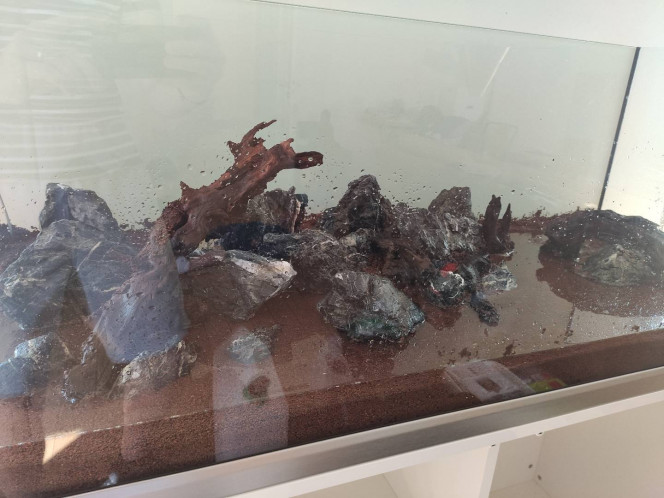 Mise en place du hardscape 