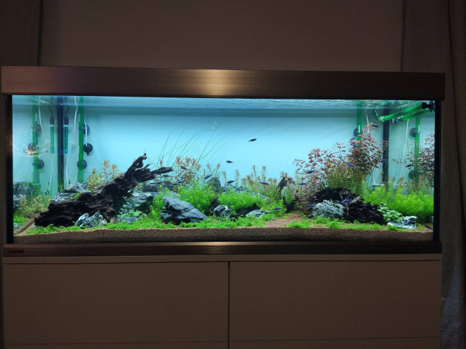 Trois mois après l'installation 