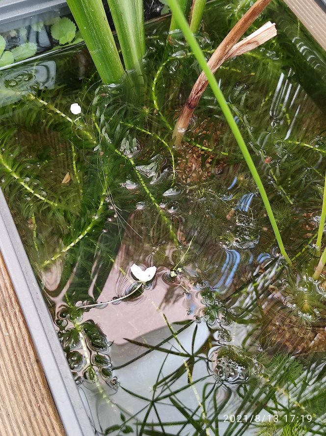 Photographie du post de Mouich 