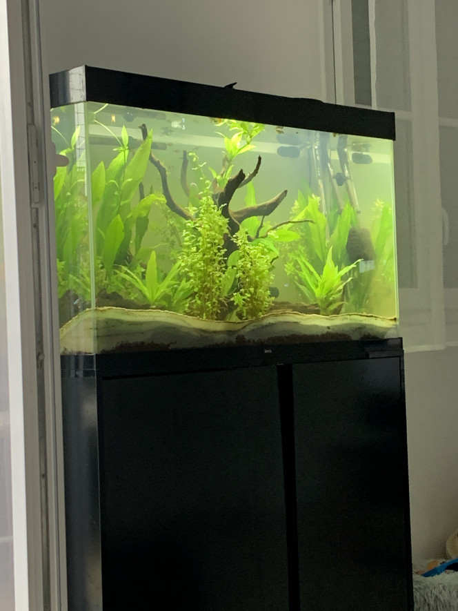 Changement sable pour aquarium 200l, sur le forum de discussions