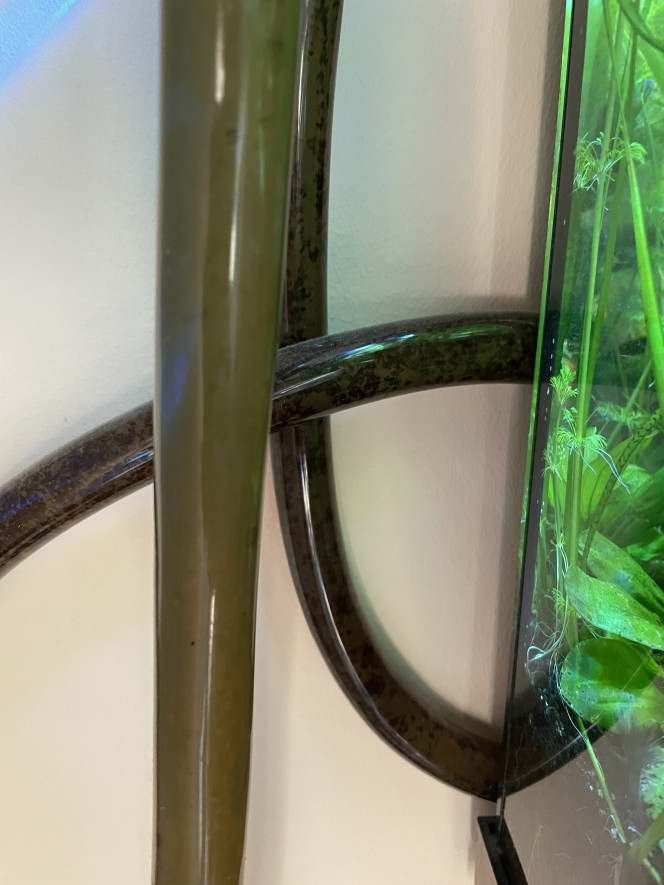 Photographie du post de antho 