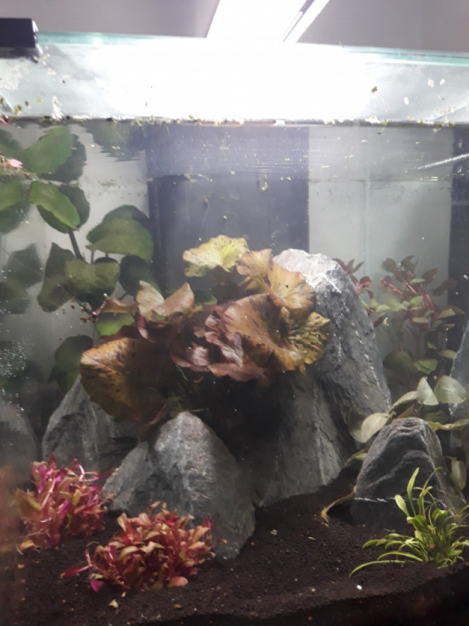 Photographie du post de ColisaDUBOUCHON 