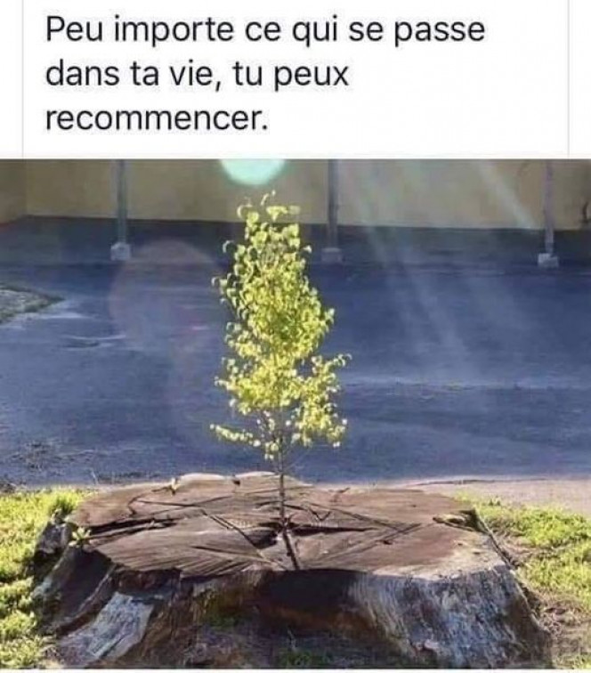 Photographie du post de voir1 