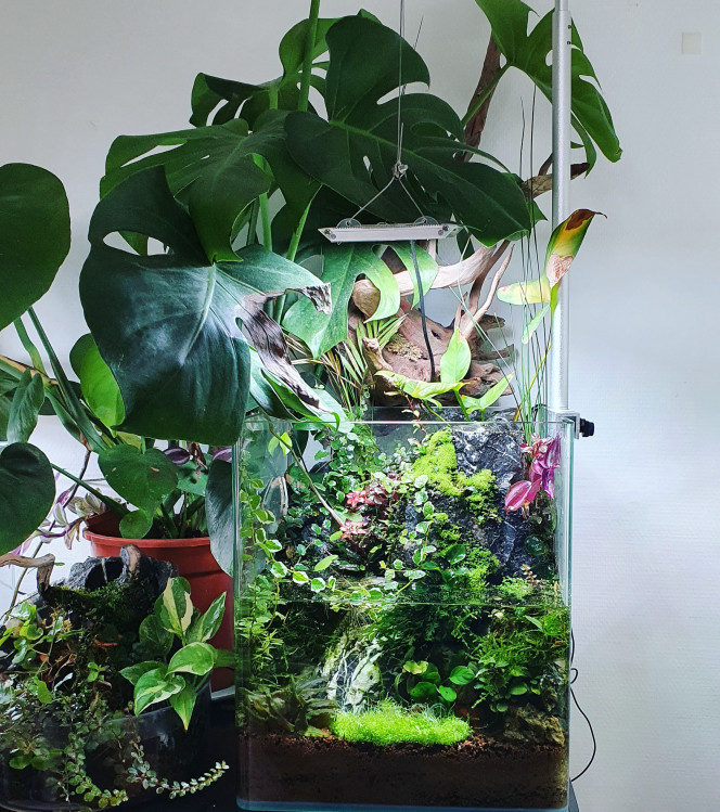 Cascade 30l Se bac évolue tellement bien