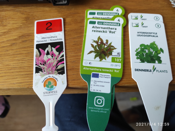 Photographie du post de Mouich 