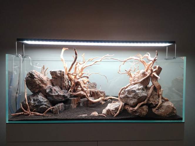 Hardscape Installation de mon hardscape, avec bois fossilisé et redmoor wood