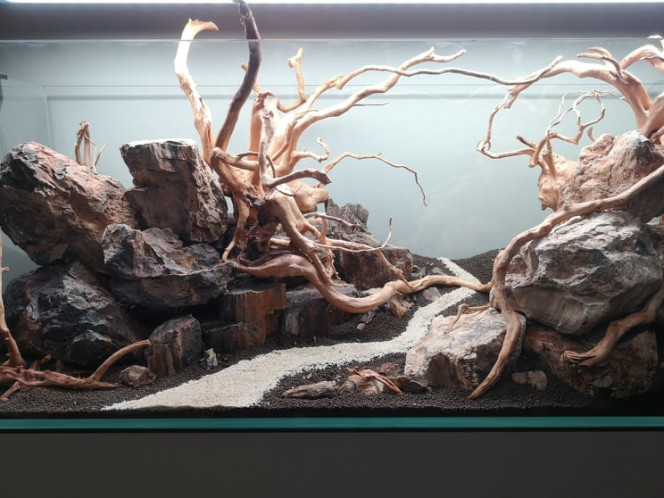 Hardscape avec détails Je disperse quelques cailloux de petite taille pour un rendu plus naturel